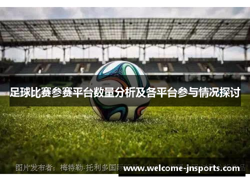 足球比赛参赛平台数量分析及各平台参与情况探讨